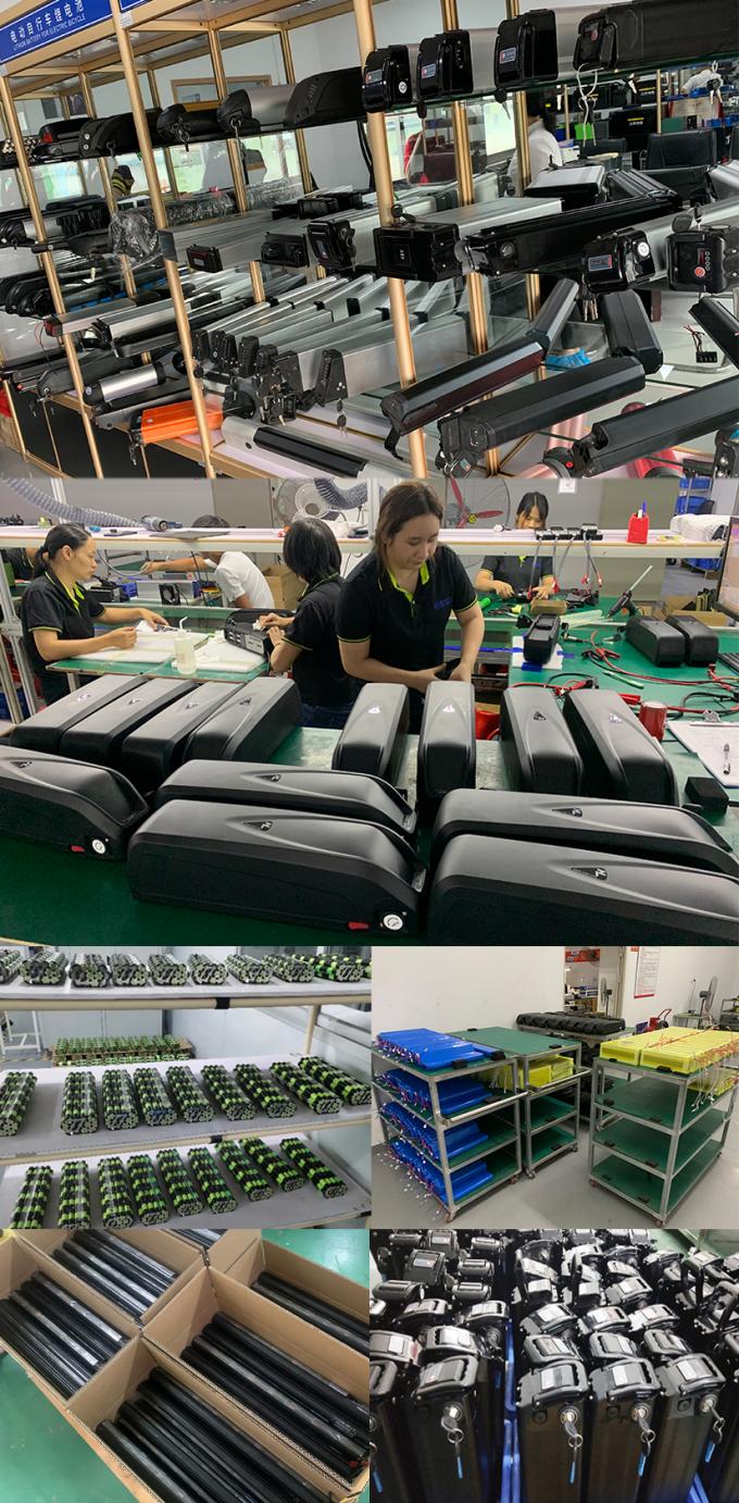 Downtube Electric Bicycle Battery 36v 10ah 15ah Hailong Ebike Battery For Bike 6