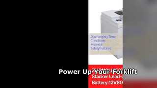 24V 40Ah Electric Pallet Truck Battery